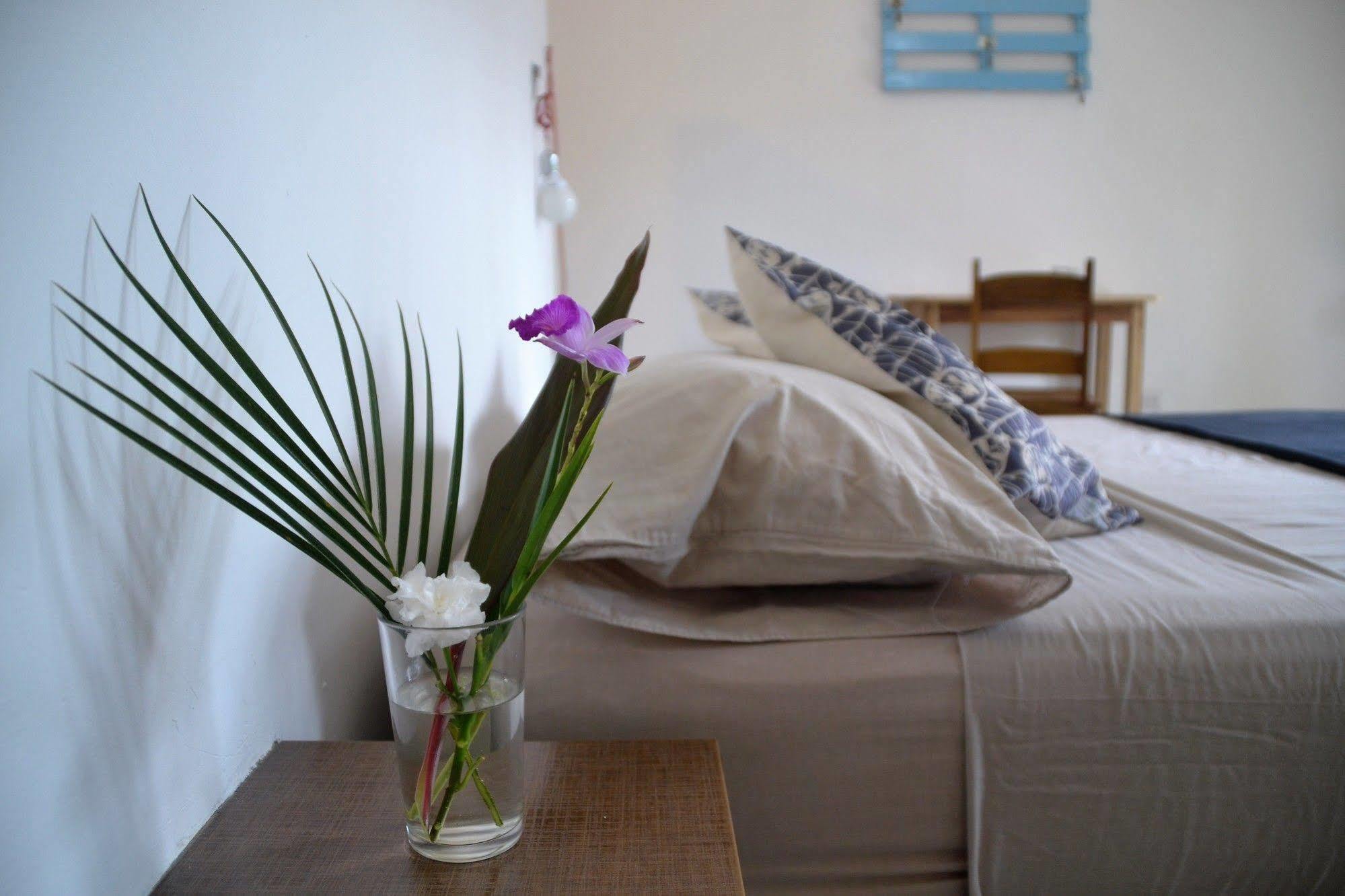 Hotel Indalo Adults Only Puerto Viejo de Talamanca Εξωτερικό φωτογραφία